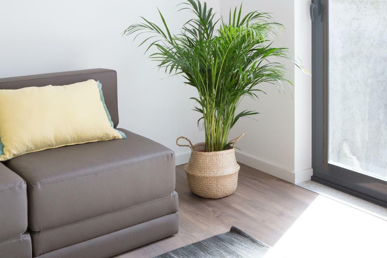 Samasal Trindade Apartments ポルト エクステリア 写真